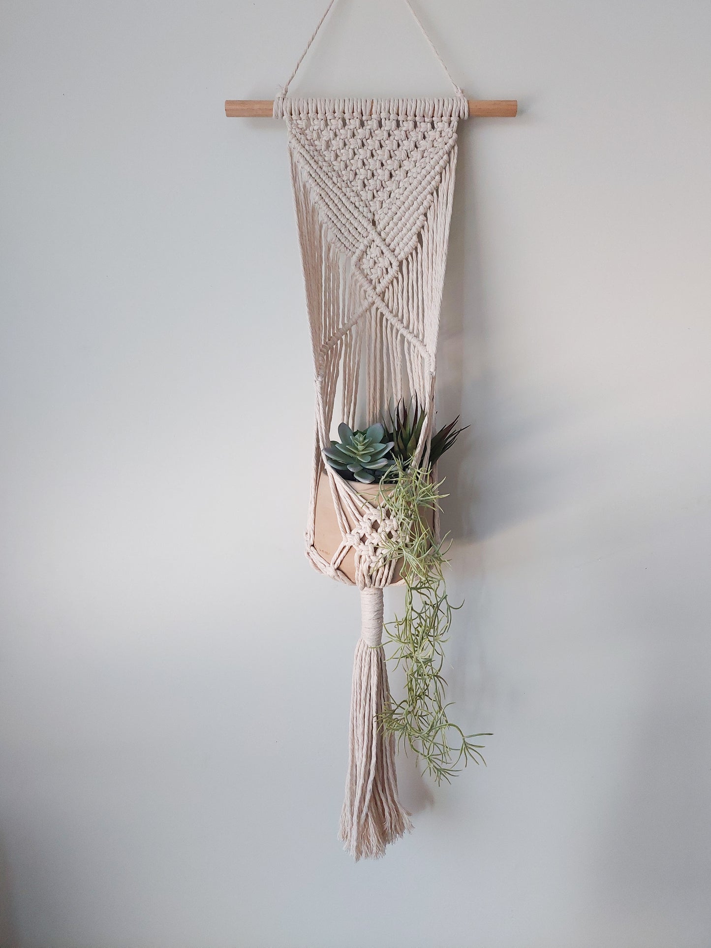 AVANI | Small