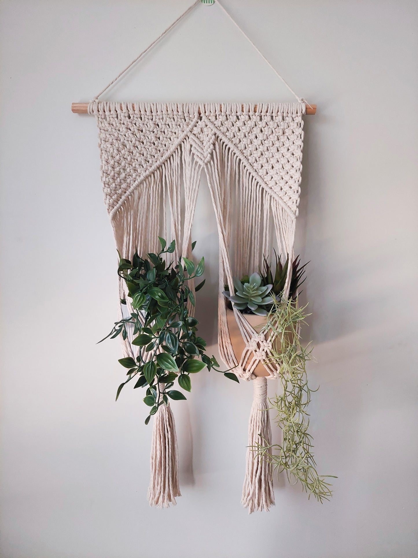 AVANI | Medium