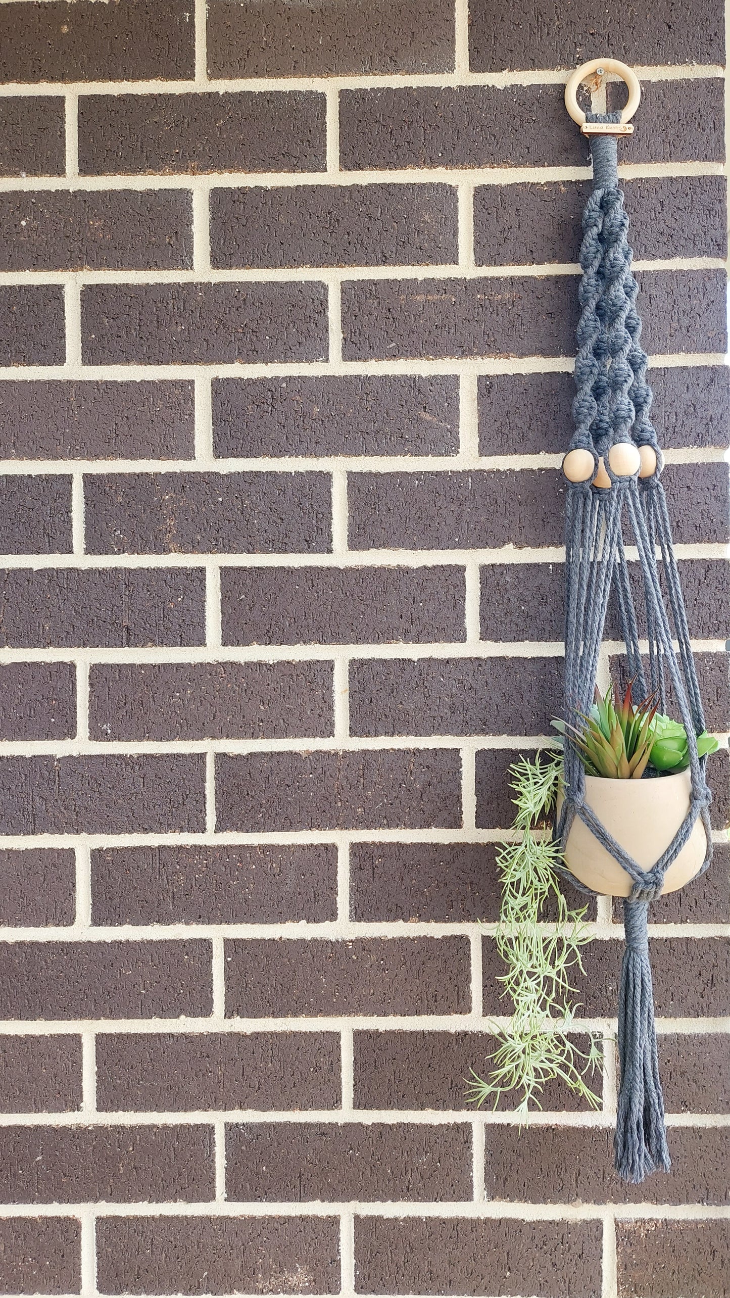 TWISTED | Plant Hanger