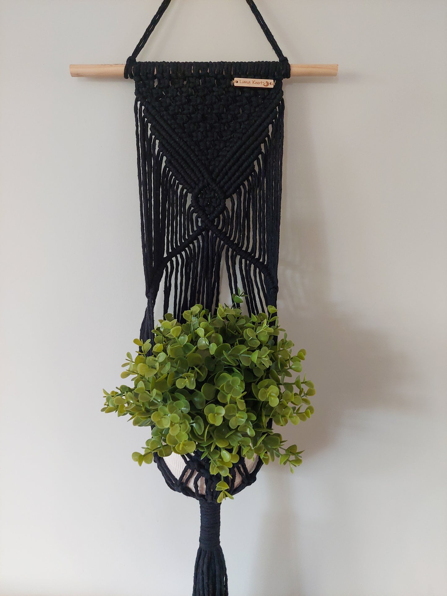AVANI | Small
