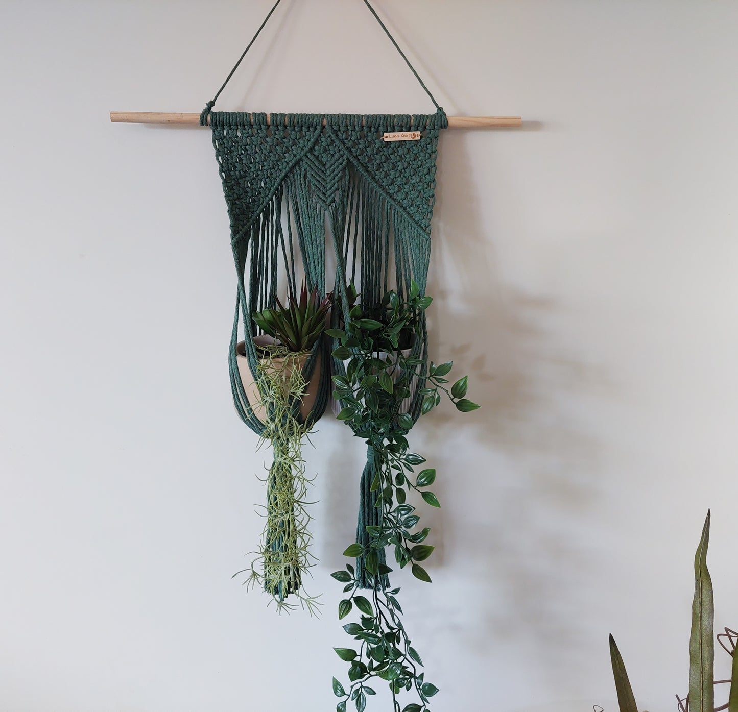 AVANI | Medium
