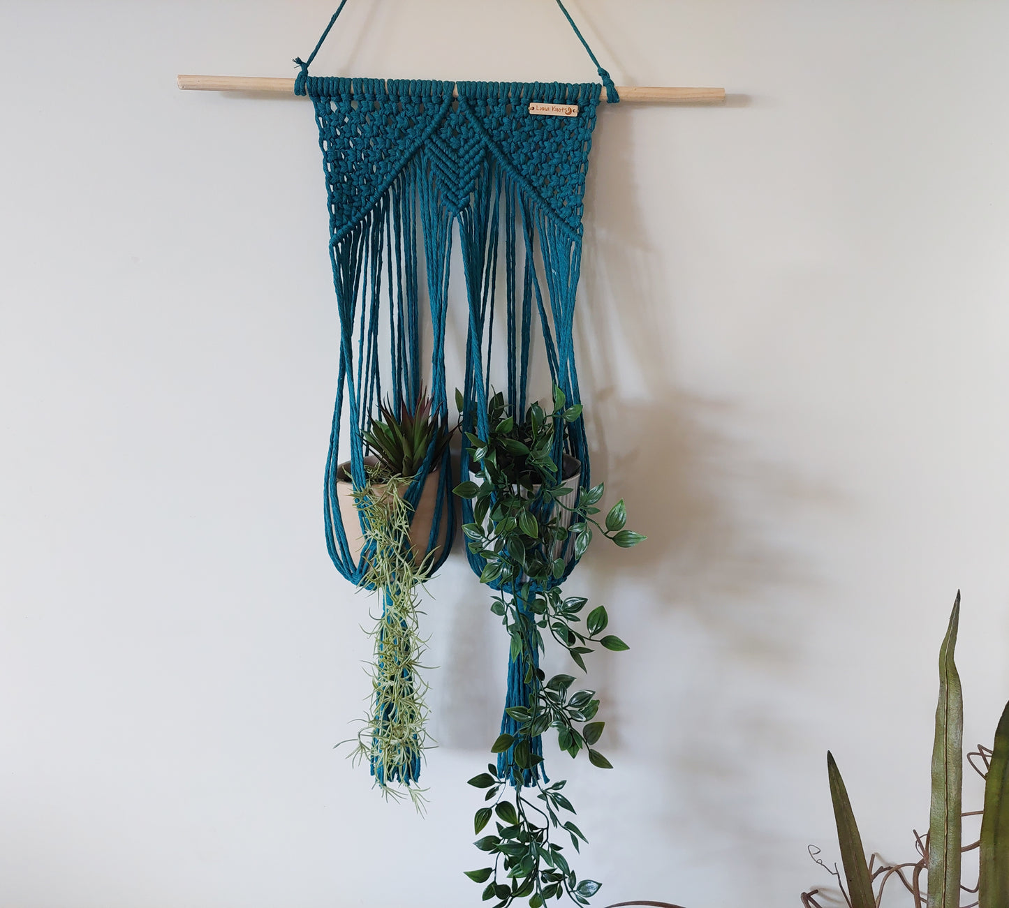 AVANI | Medium