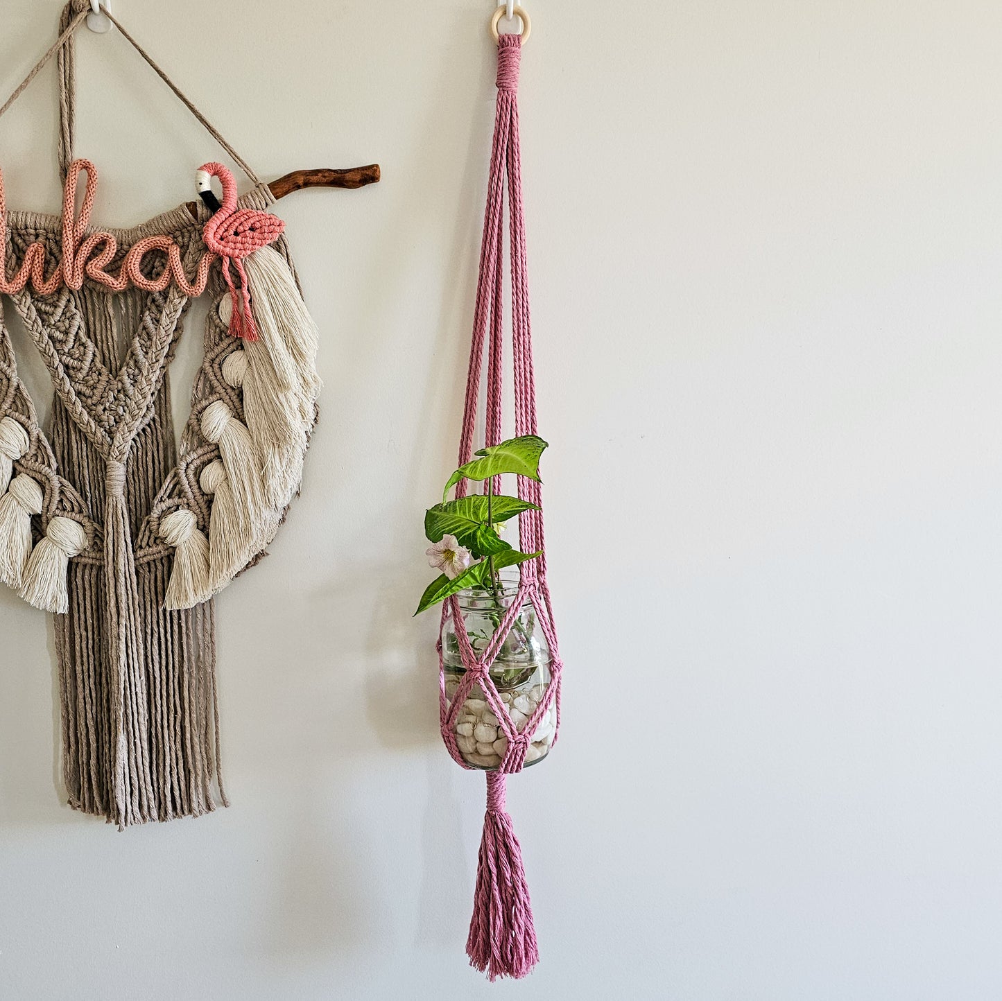 PLANT HANGER | Medium