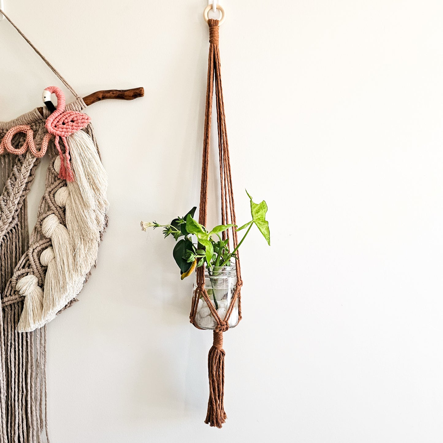 PLANT HANGER | Small
