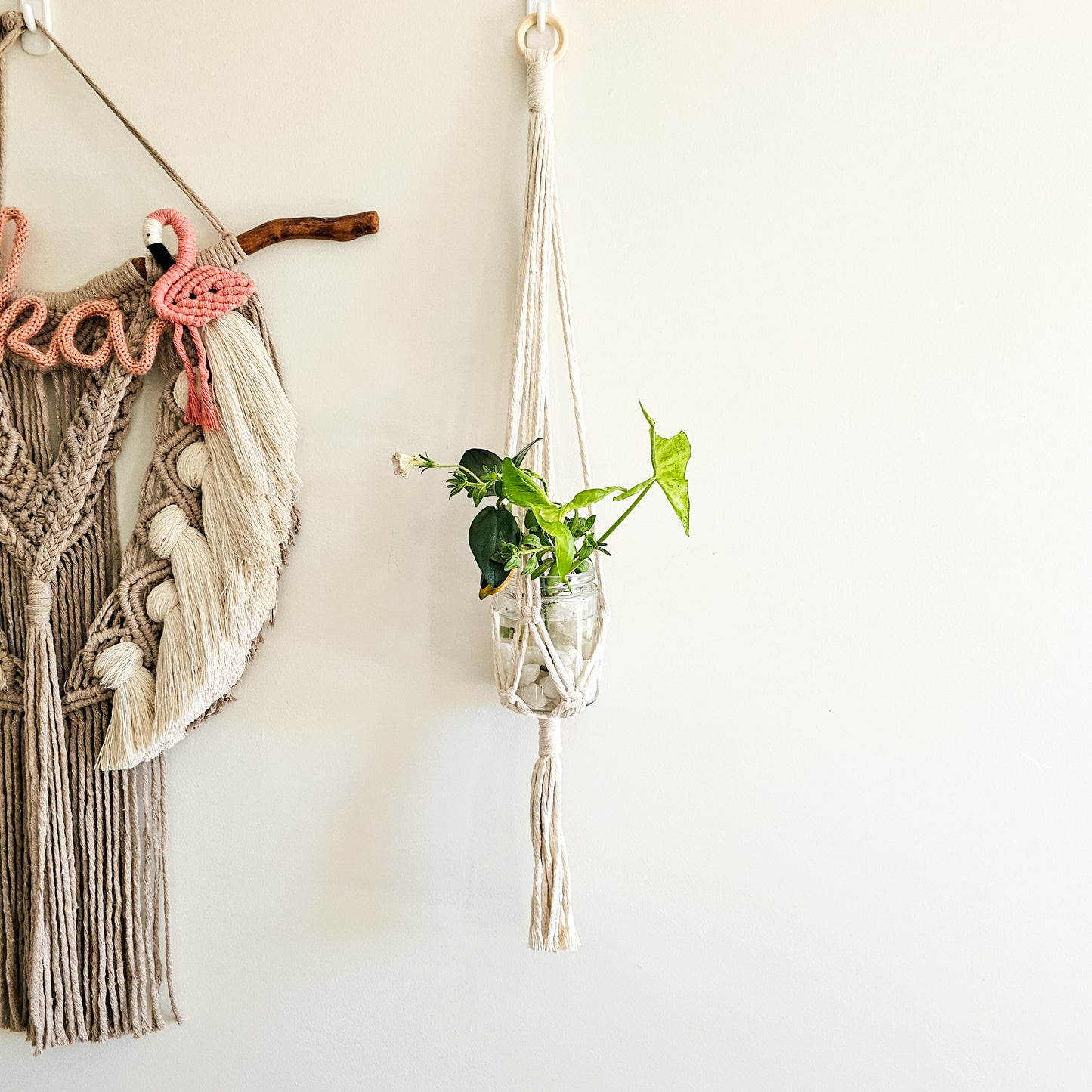 PLANT HANGER | Small