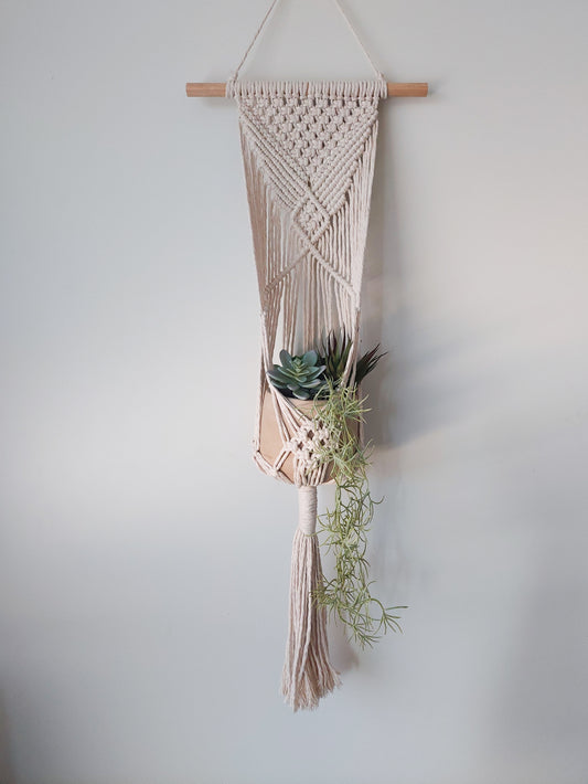 AVANI | Small