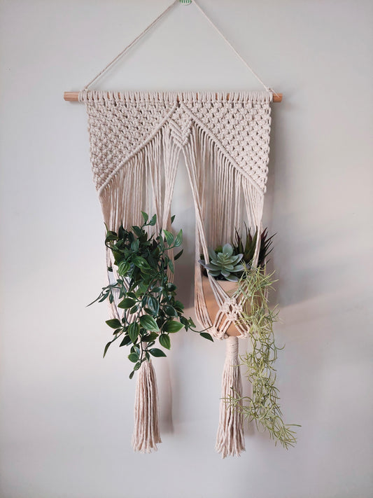 AVANI | Medium