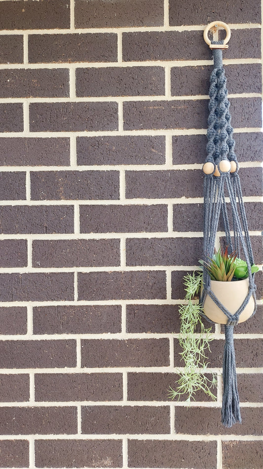 TWISTED | Plant Hanger