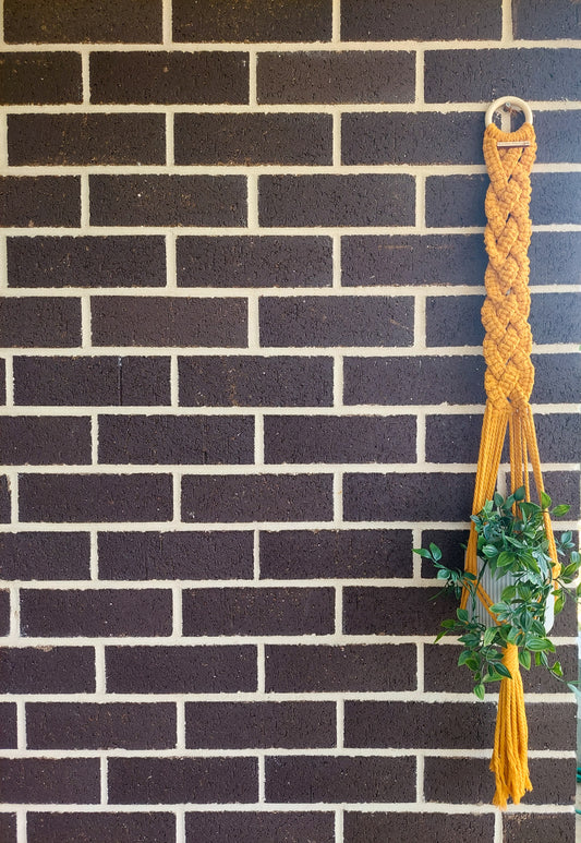 BRAIDED | Plant Hanger