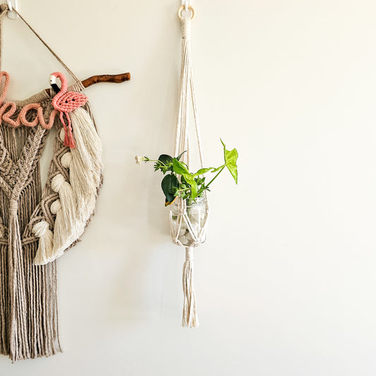 PLANT HANGER | Small
